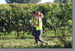 Trial Carignan 336 * 680 x 453 * (217KB)